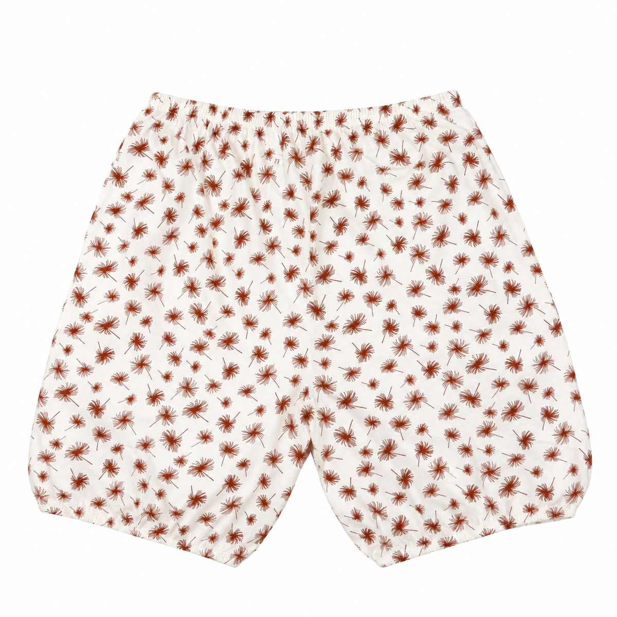 Cotton Whimsy Shorts (Pack of 3)